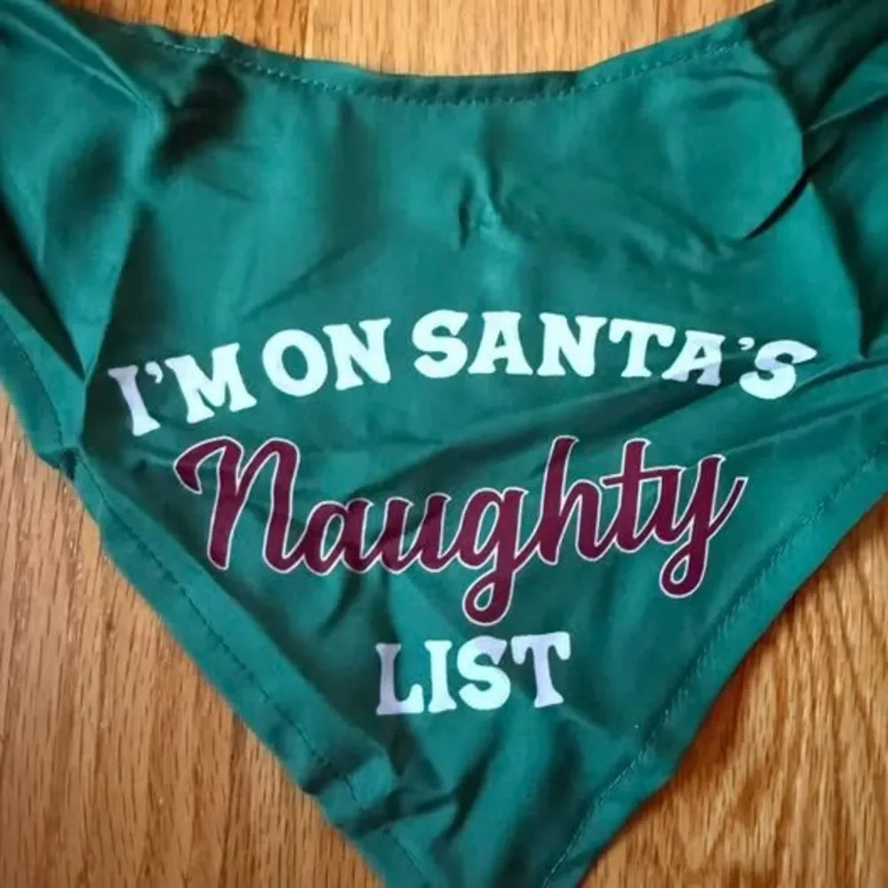 Merry Makings by Petco Santa's Naughty List Dog Bandana